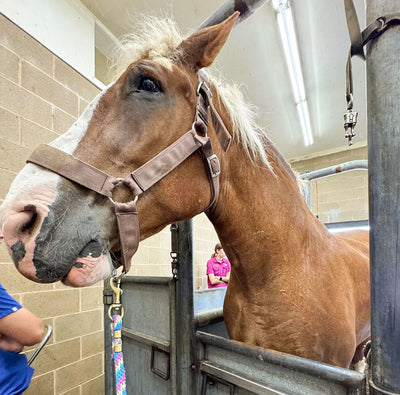 A Scary Start to the Morning