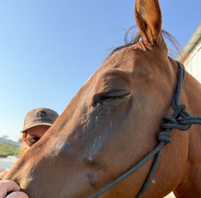 Piper’s Painful Eye Scare