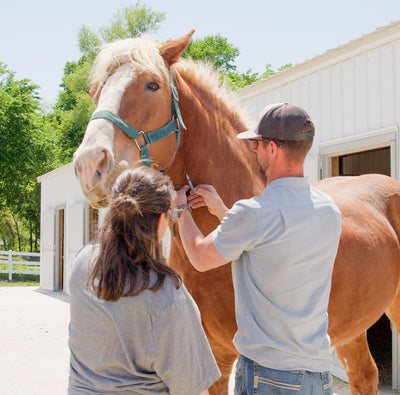 Springtime Vaccines