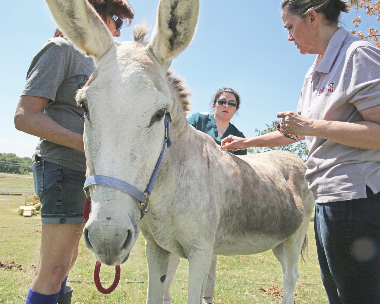 Compassionate, unwavering care