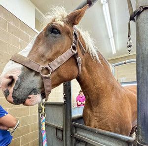 A Scary Start to the Morning