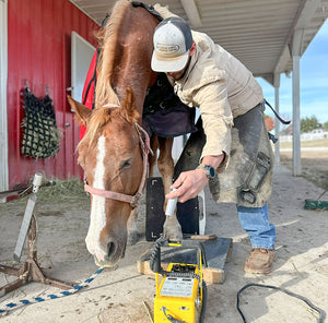 Cheers to Stryker: A Hoof-Some Milestone!